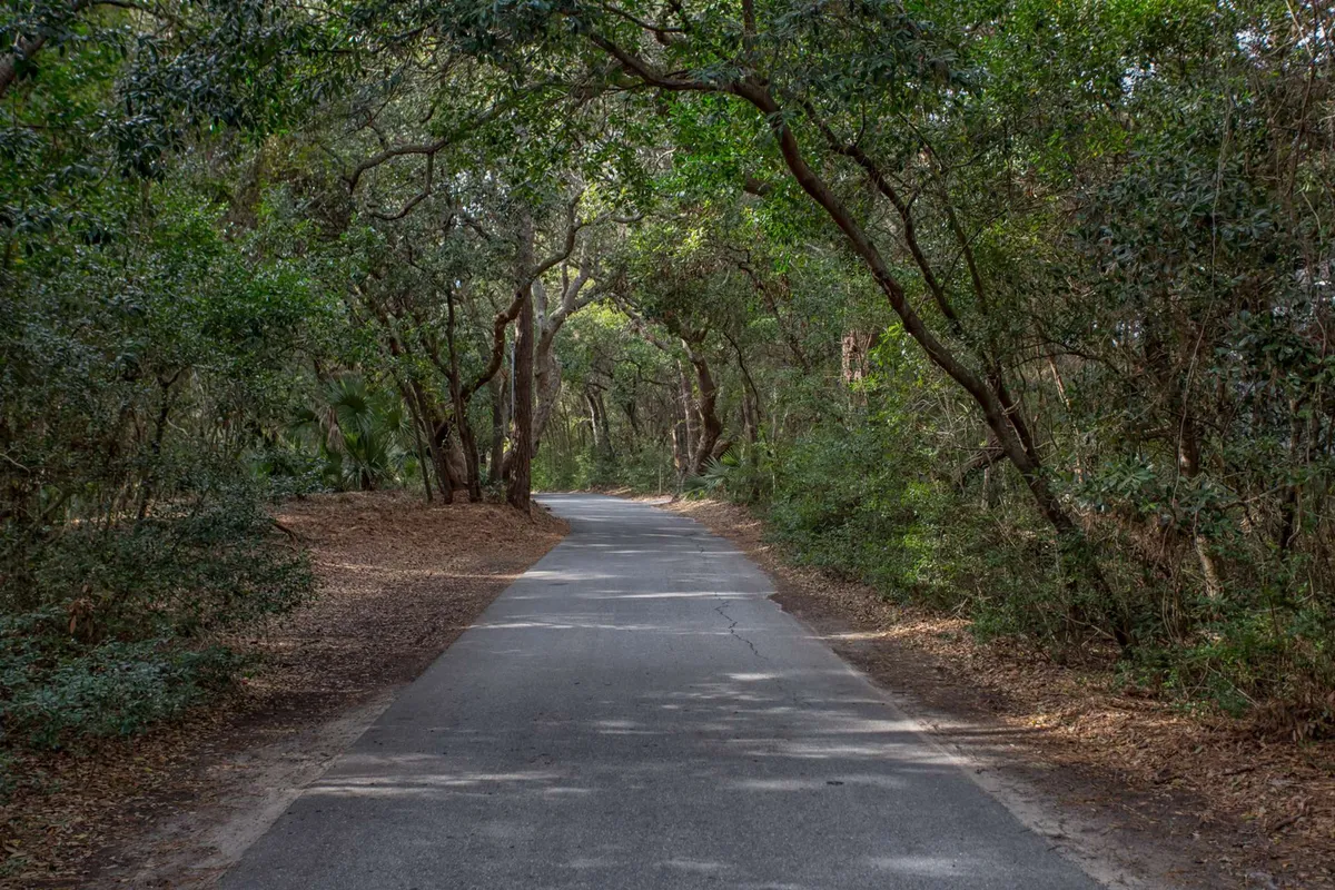 A peaceful tree-canopied paved road surrounded by lush greenery, ideal for walking or biking. The natural tunnel effect of the trees sets a tranquil, family-friendly mood for island exploration.